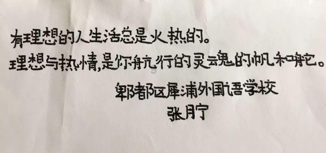 救援快乐的兔子